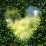 heart in bushes